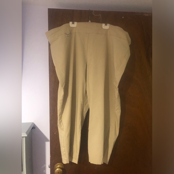 Alfani tan capris, Size 28. Body: rayon/nylon/spandex; panel: nylon/spandex - Picture 4 of 5